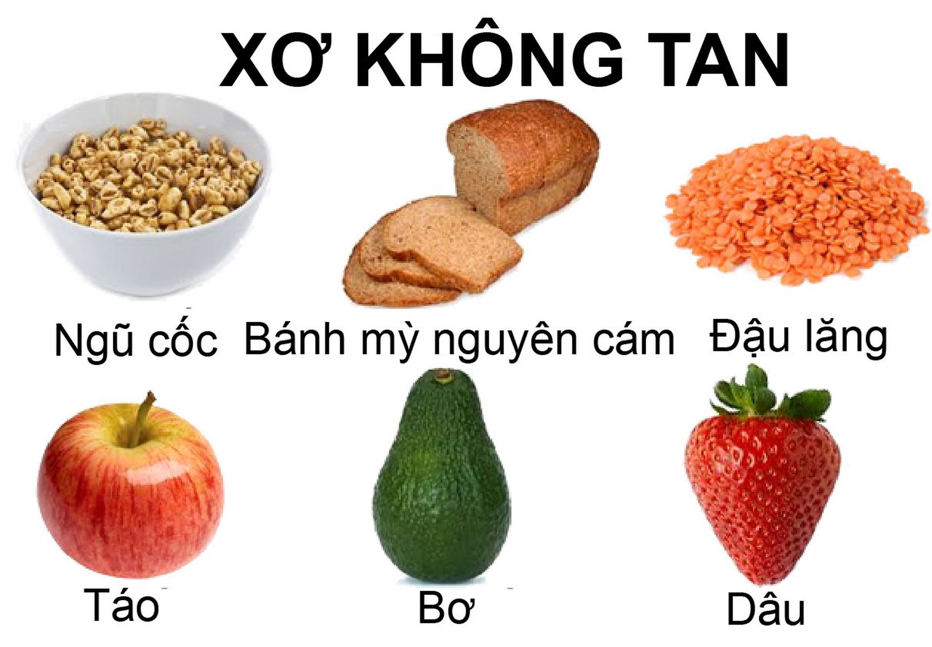 Chat Xo Khong Hoa Tan